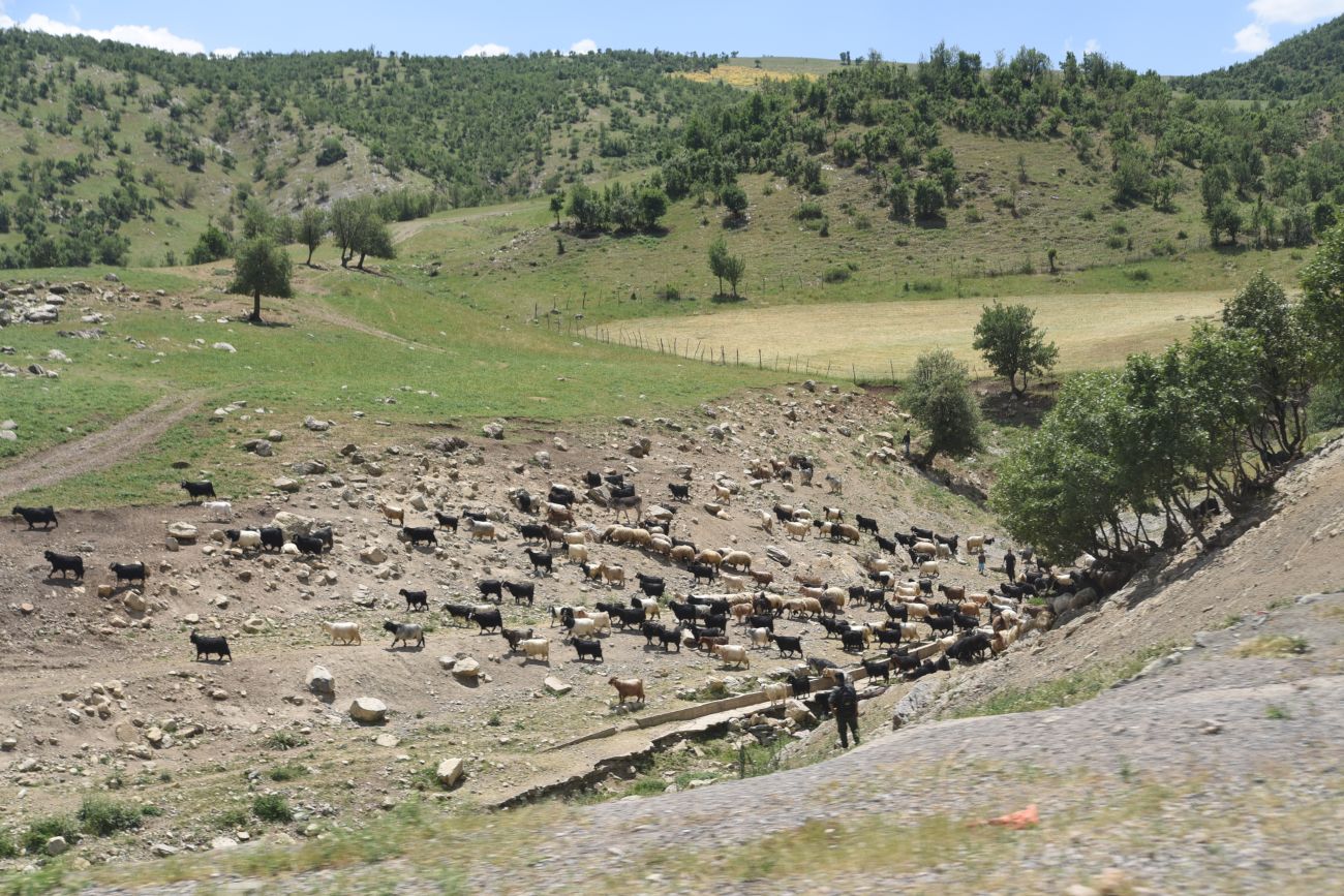 Шеноба, image of landscape/habitat.