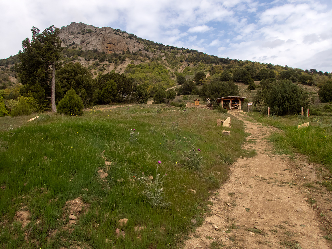 Хребет Токлук-Сырт, image of landscape/habitat.