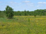 Долина Вондели, image of landscape/habitat.