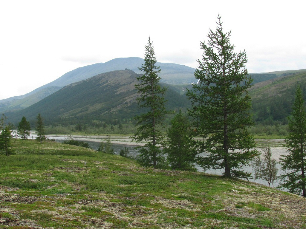 Собь у устья Кемьрезьрузь, image of landscape/habitat.