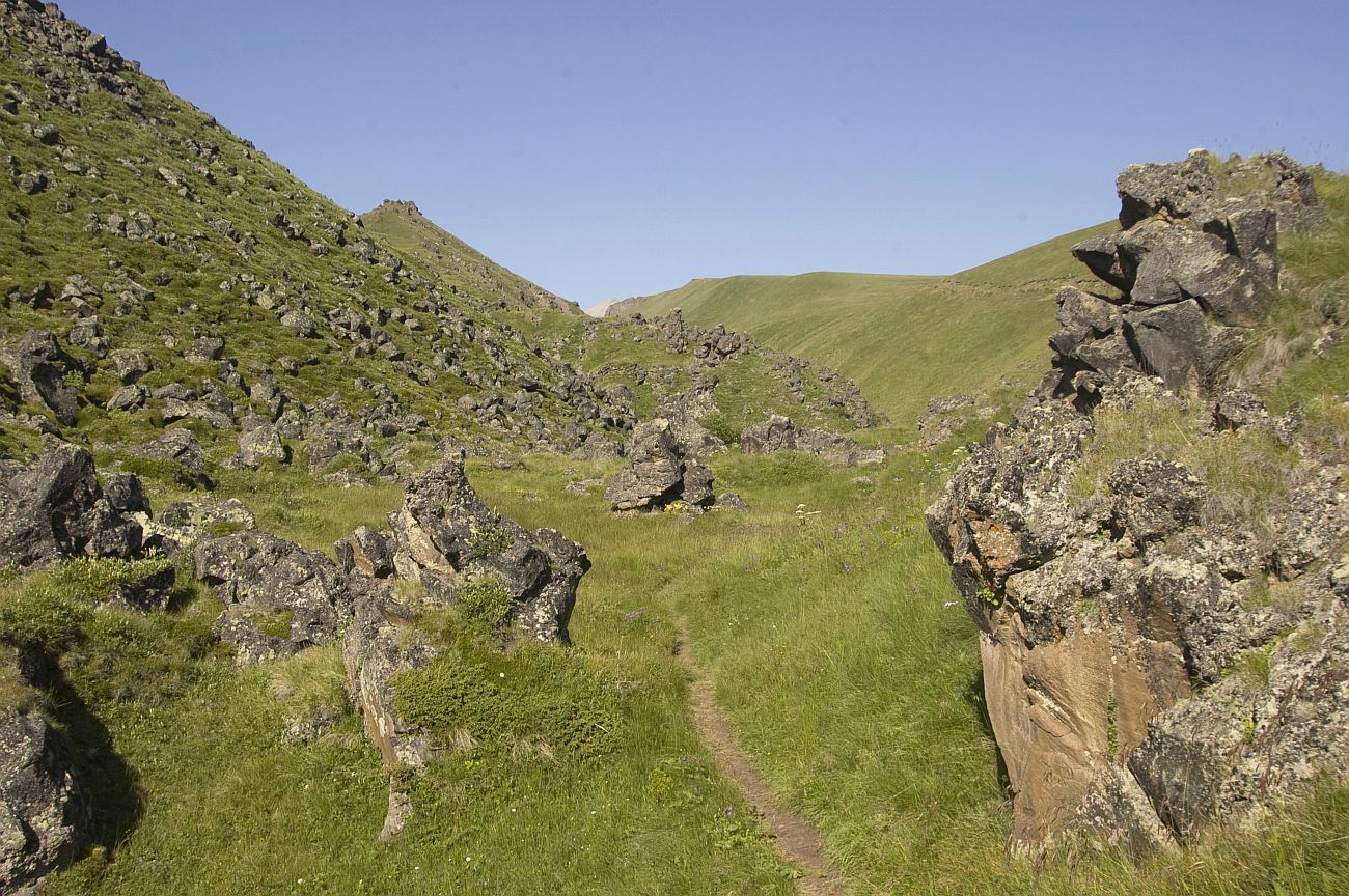 Долина Карачаул, image of landscape/habitat.