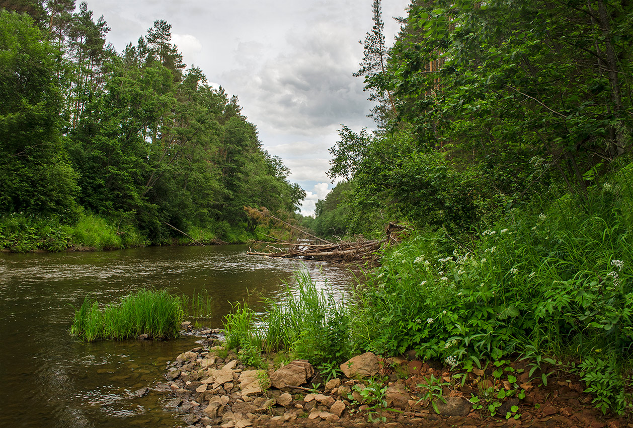 Окрестности деревни Усть-Сепыч, image of landscape/habitat.