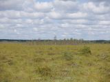 Image of landscape
