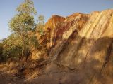 Image of landscape