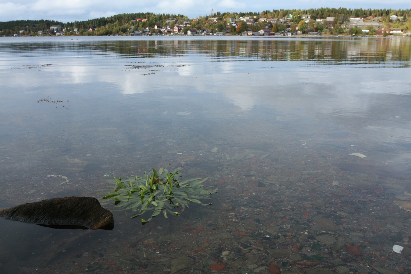 Умба, image of landscape/habitat.