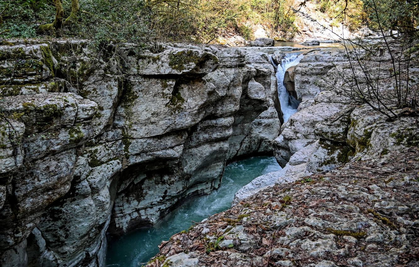 Ущелье реки Большая Хоста, image of landscape/habitat.