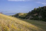 Image of landscape