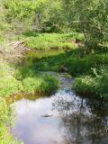 Долина Вондели, image of landscape/habitat.