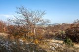 Image of landscape