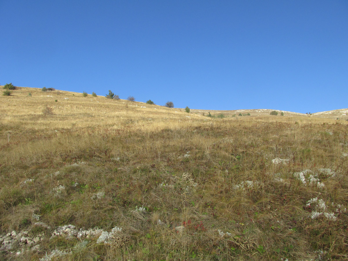 Северная Демерджи, image of landscape/habitat.