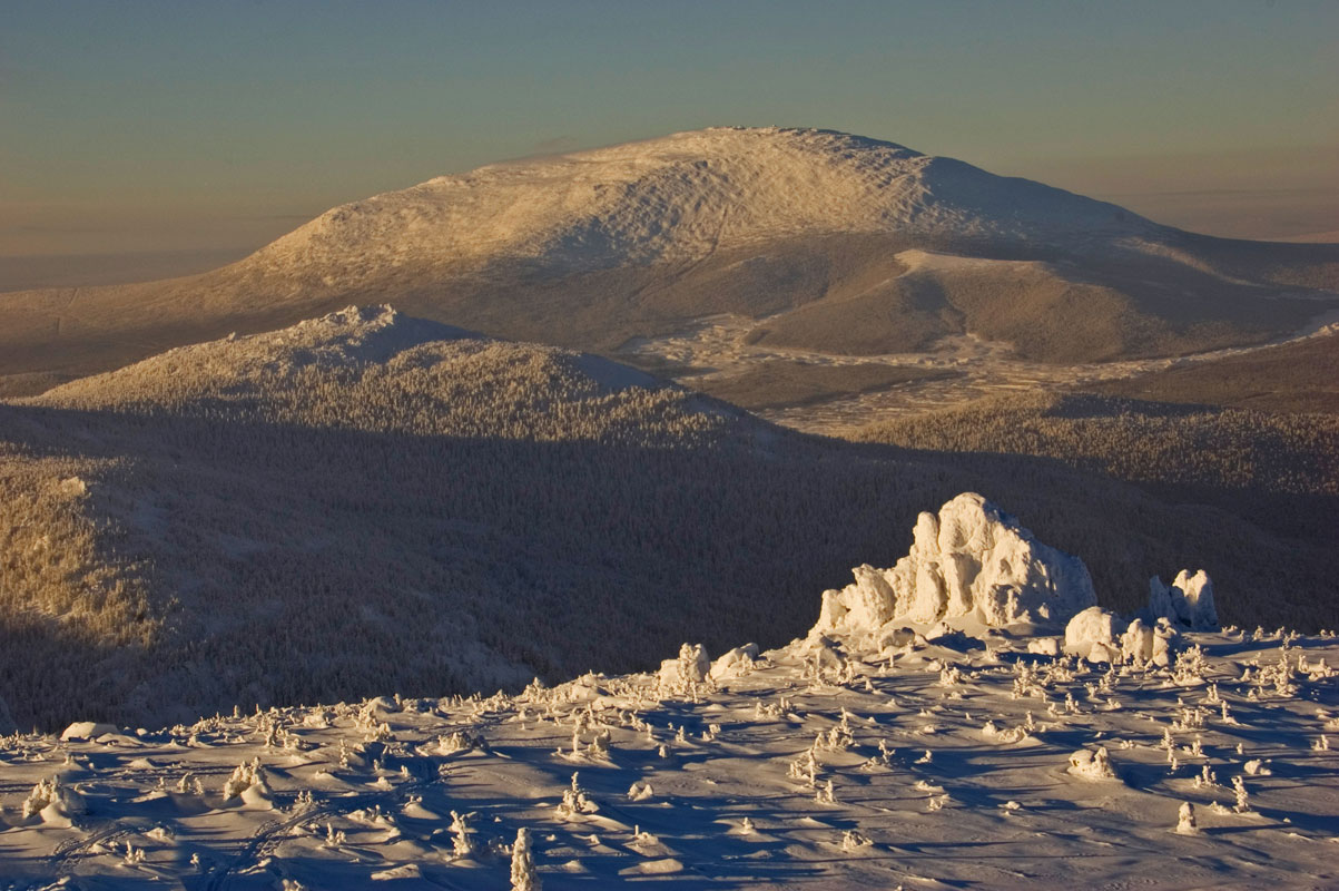 Окрестности поселка Кытлым, image of landscape/habitat.