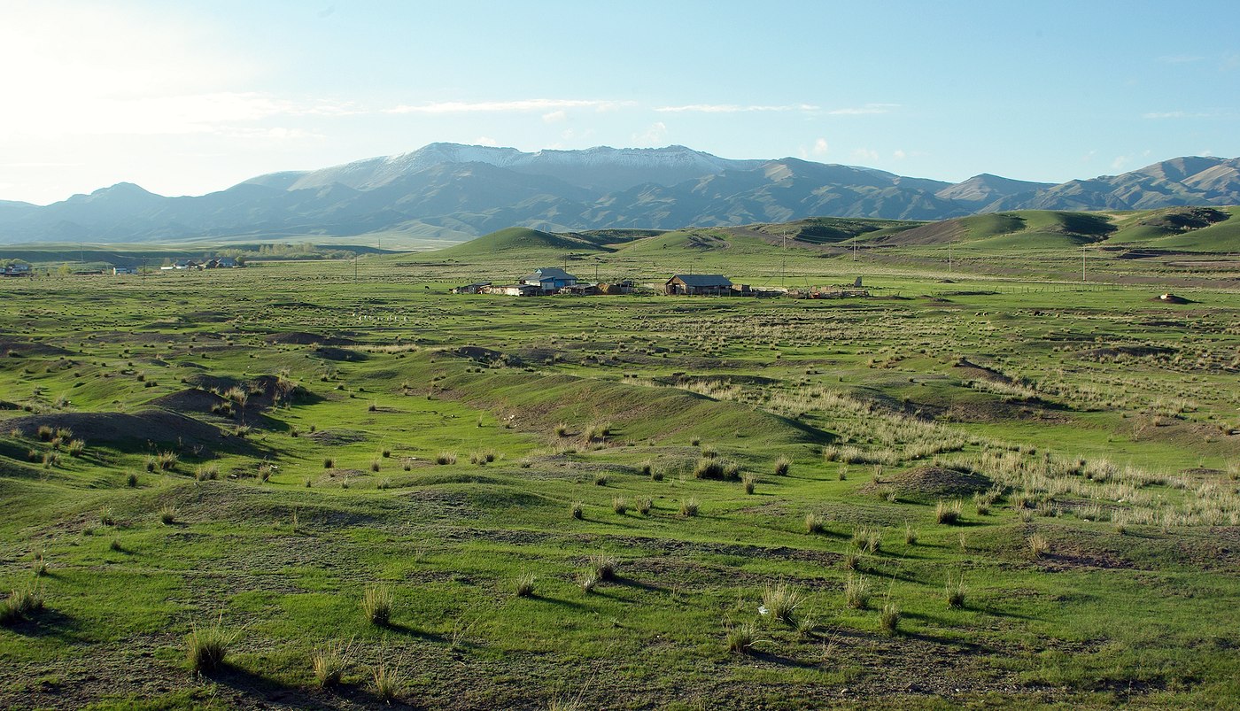 Ойкарагай, image of landscape/habitat.