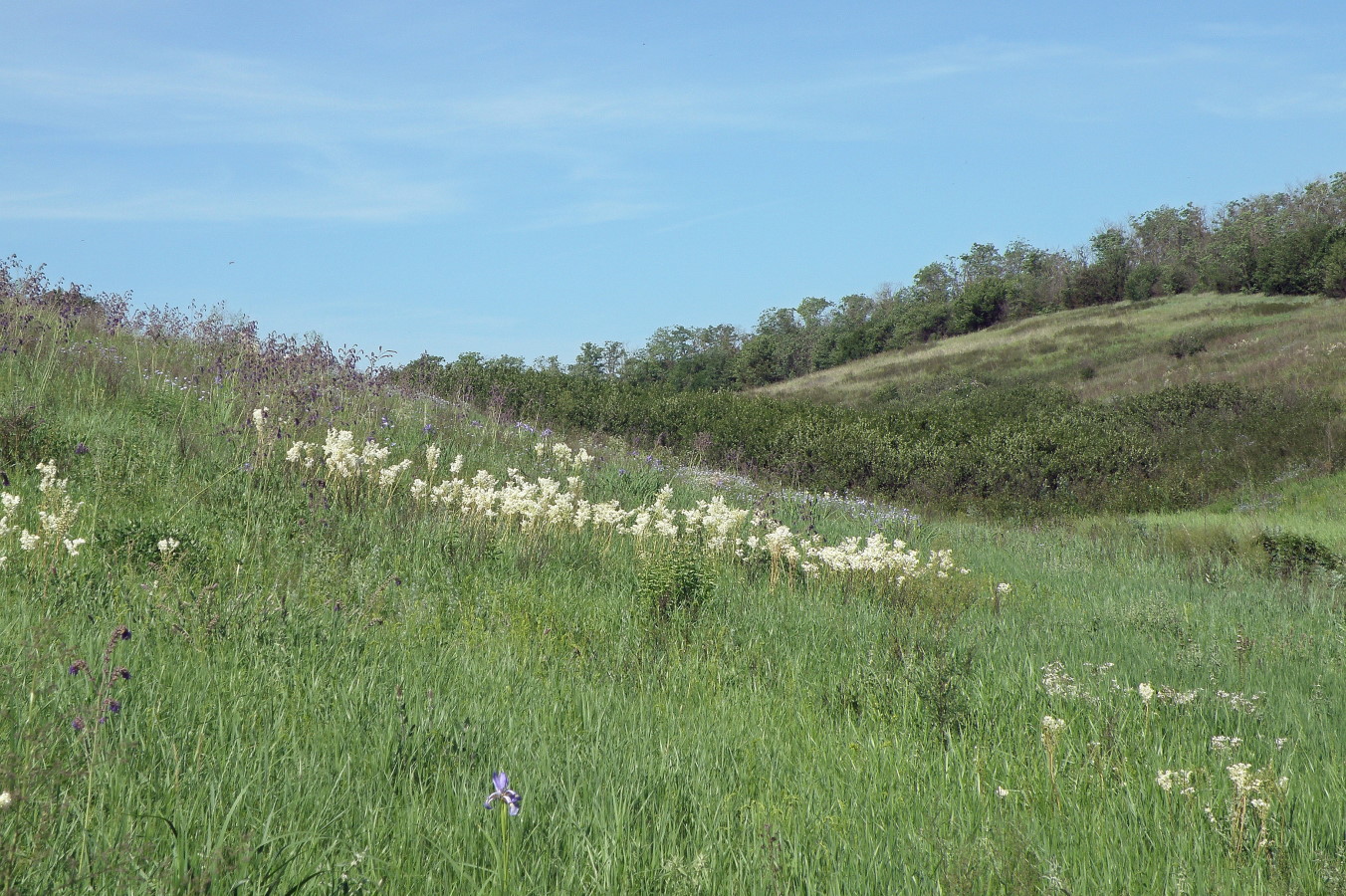 Урочище Бугелы, image of landscape/habitat.