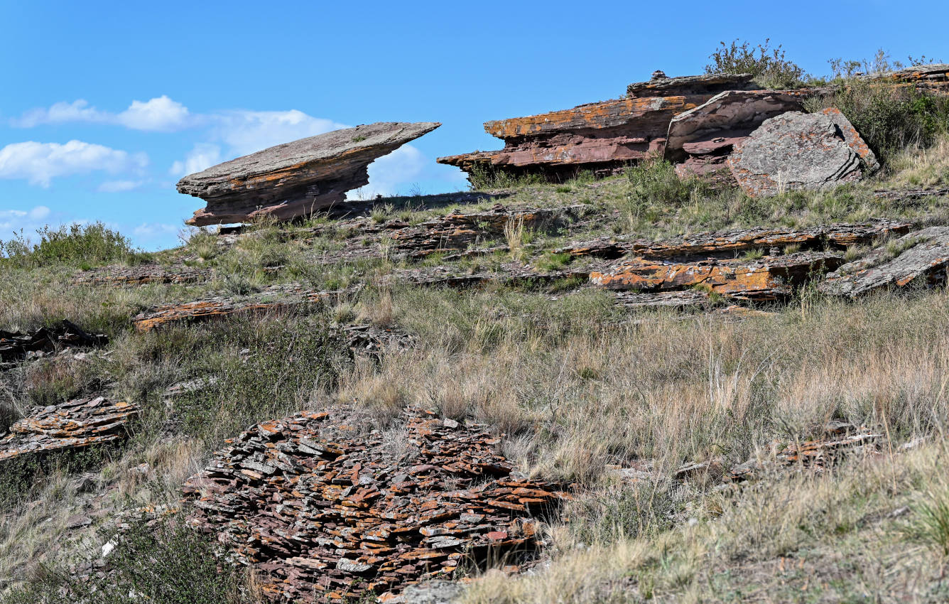 Сундуки, image of landscape/habitat.