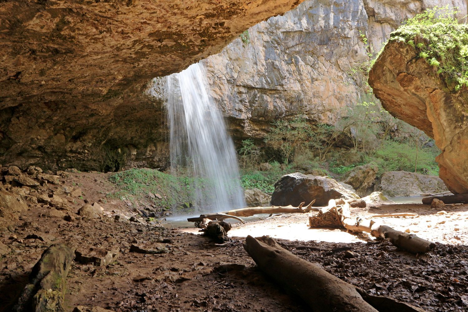 Долина реки Мезмай, image of landscape/habitat.