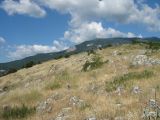Image of landscape