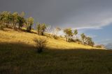 Image of landscape