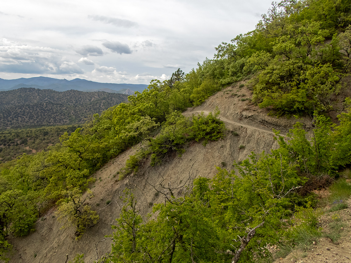 Хребет Токлук-Сырт, image of landscape/habitat.