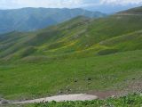 Перевал Хабуработ, image of landscape/habitat.
