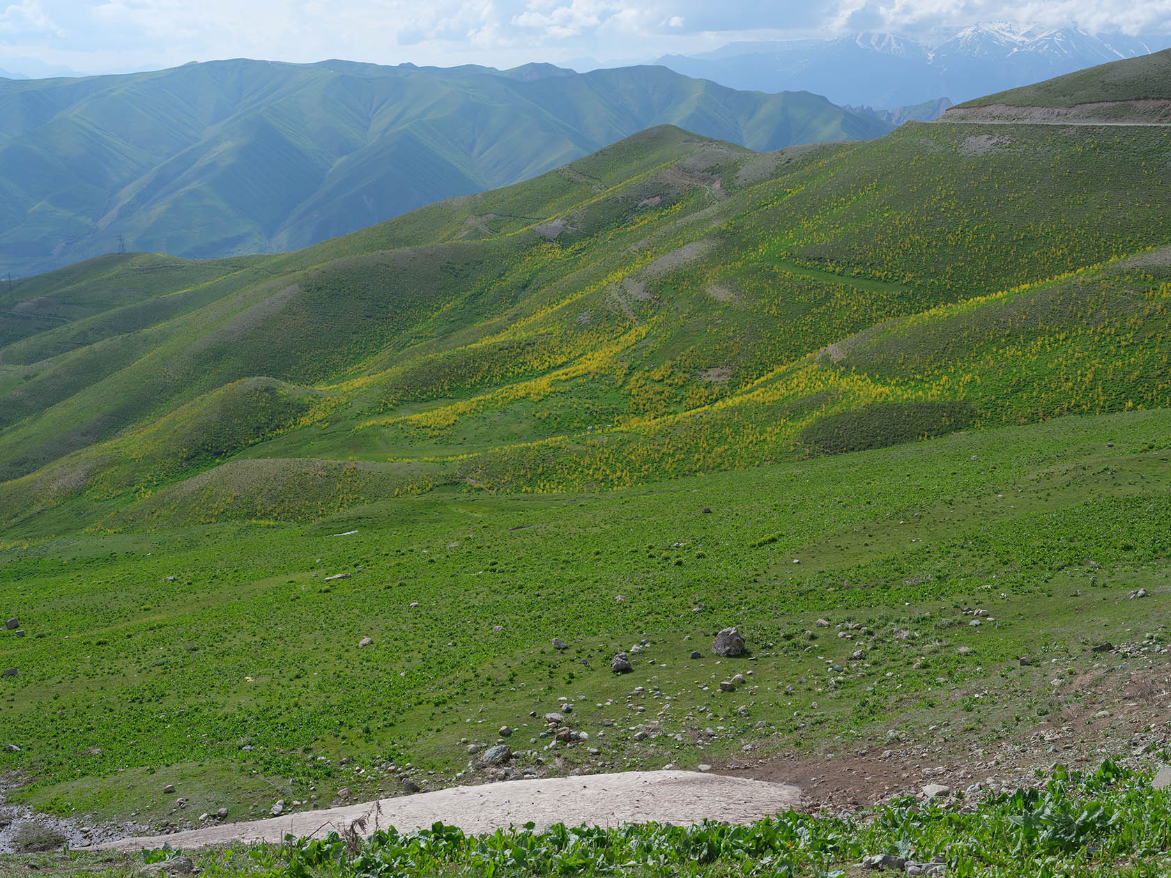 Перевал Хабуработ, image of landscape/habitat.