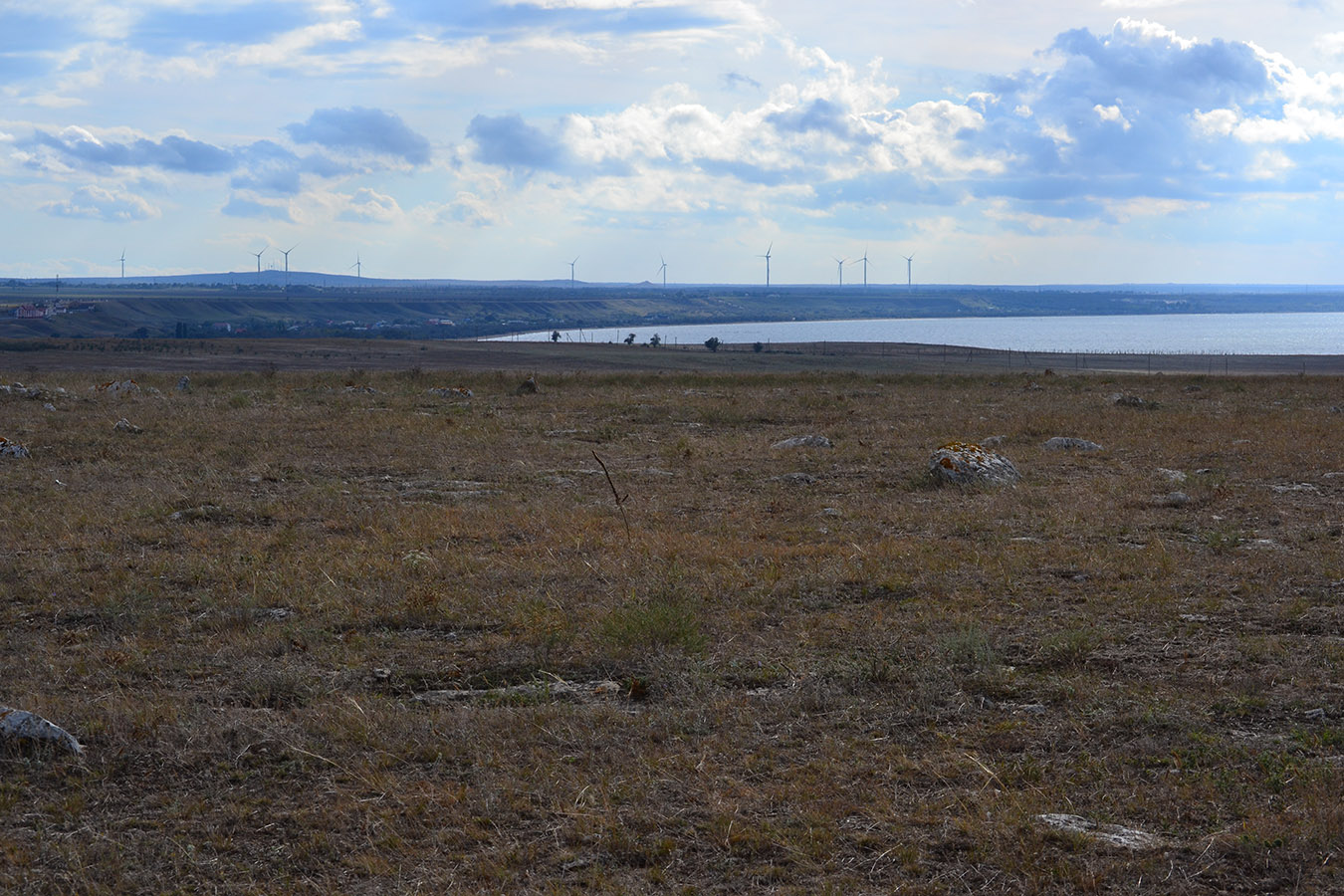 Караларская степь, image of landscape/habitat.