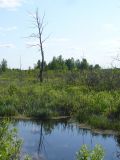 Image of landscape