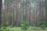 Image of landscape