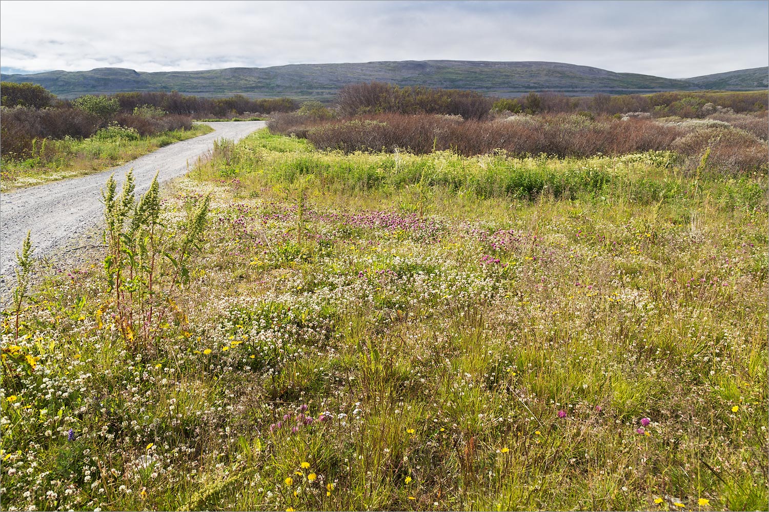 Бухта Озерко, image of landscape/habitat.