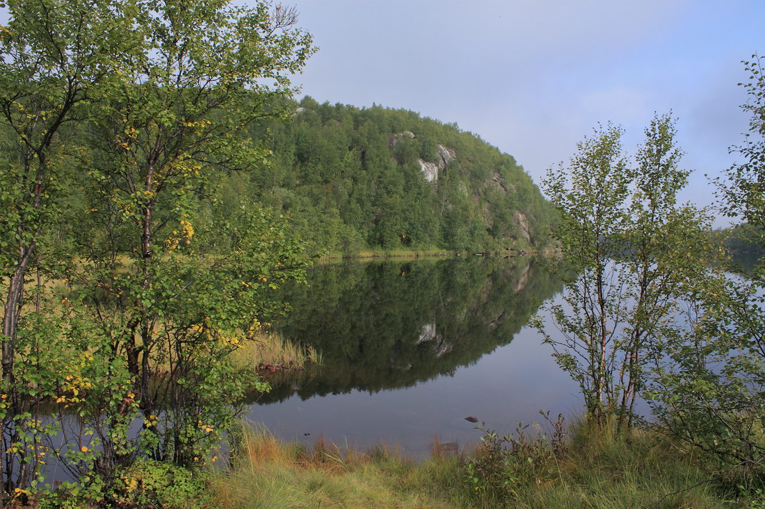 Окрестности Рогозера, image of landscape/habitat.