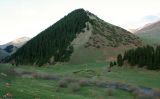 Image of landscape