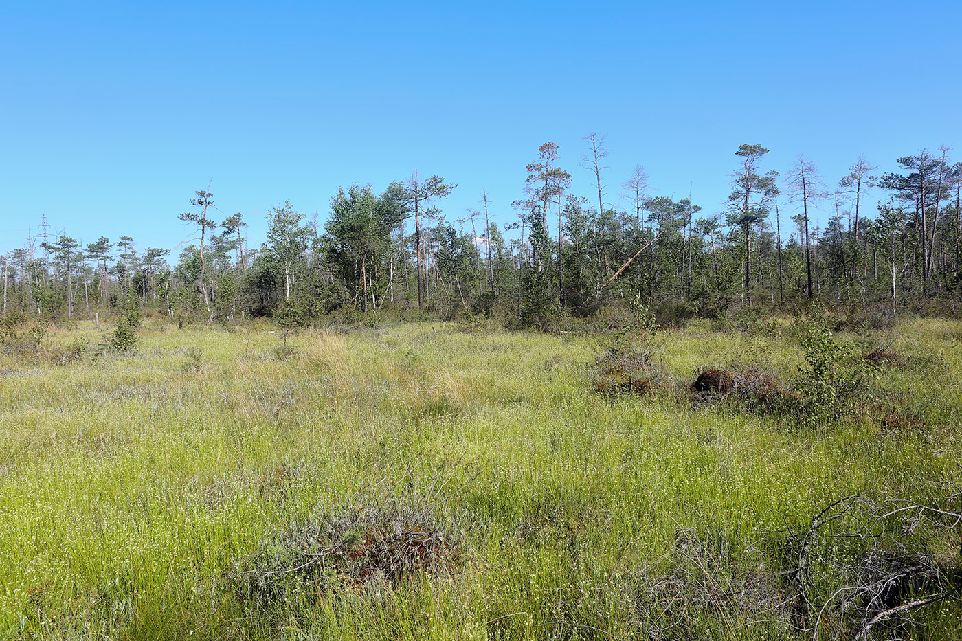 Окрестности Краснокамска, image of landscape/habitat.