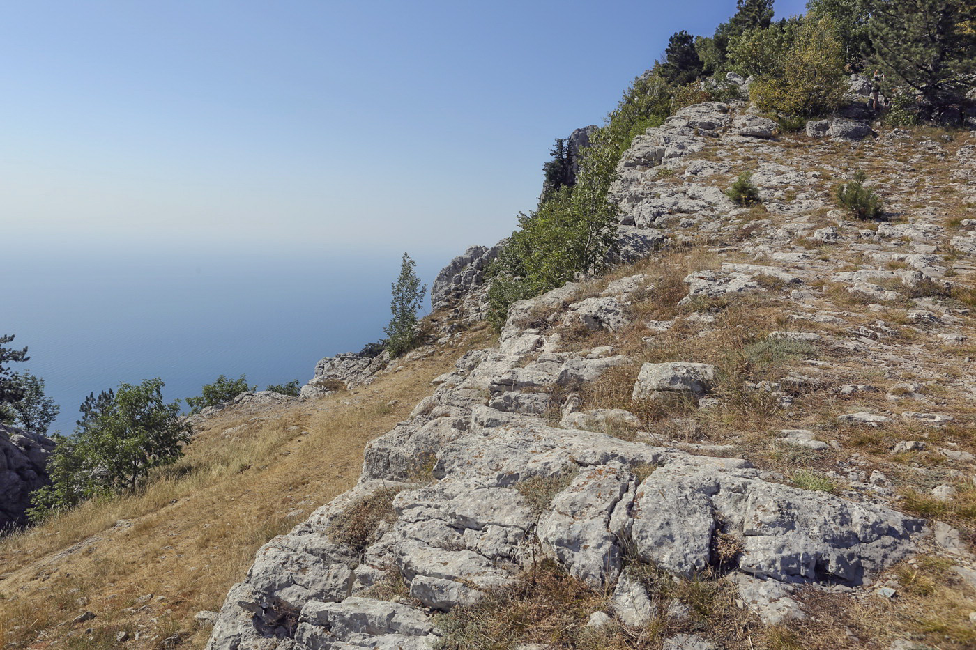 Ай-Петринская яйла, image of landscape/habitat.