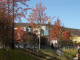 Image of landscape