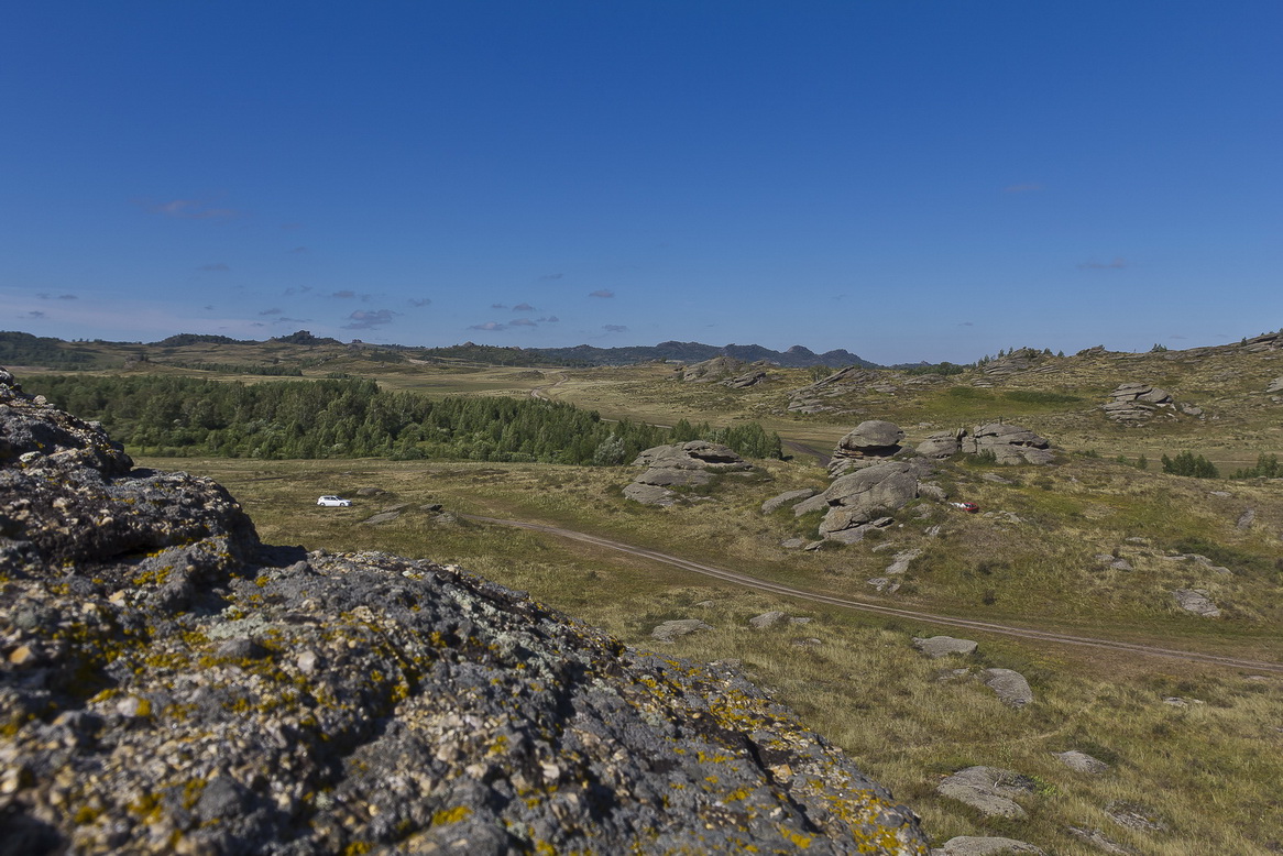 Колывановское озеро, image of landscape/habitat.