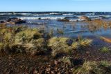 Шепелёвский маяк, image of landscape/habitat.