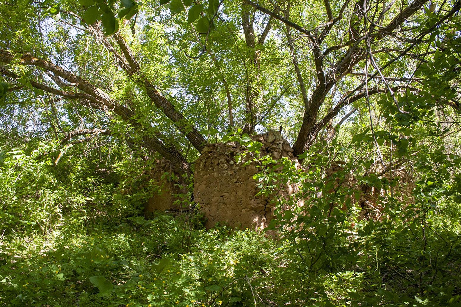 Балка Щербаковская, image of landscape/habitat.