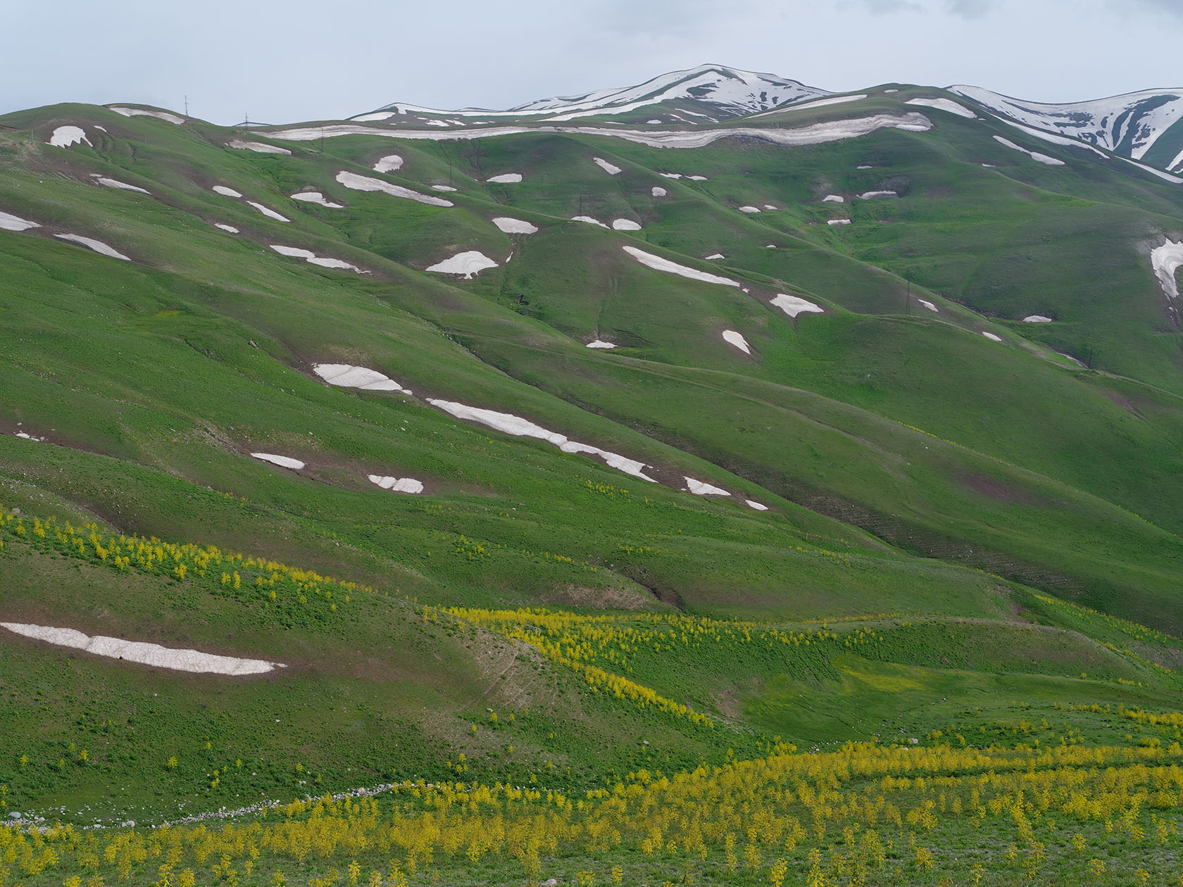 Перевал Хабуработ, image of landscape/habitat.