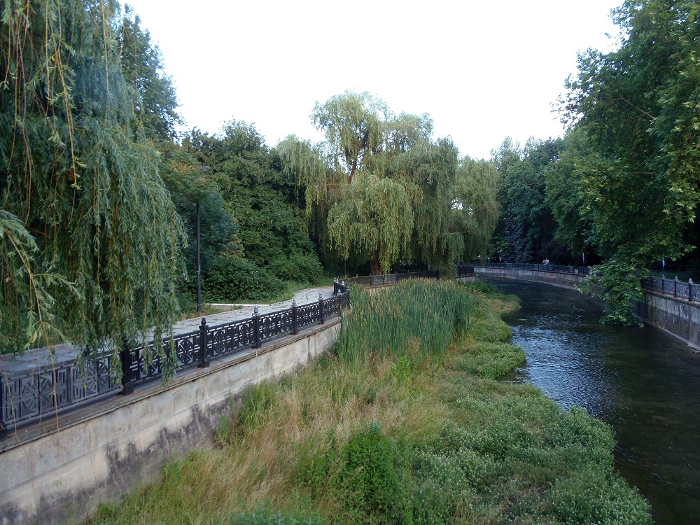 Парк «Салгирка», image of landscape/habitat.