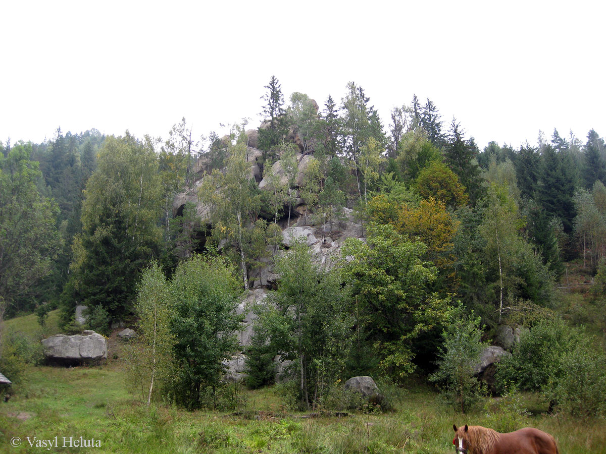 Терношора, image of landscape/habitat.