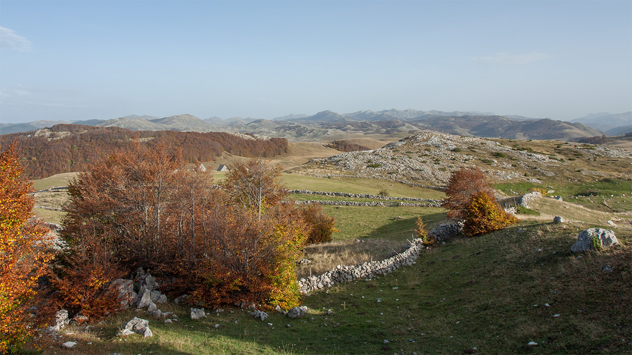 Дурмитор, image of landscape/habitat.