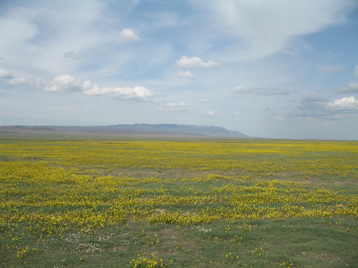 Сюгатинская долина, изображение ландшафта.