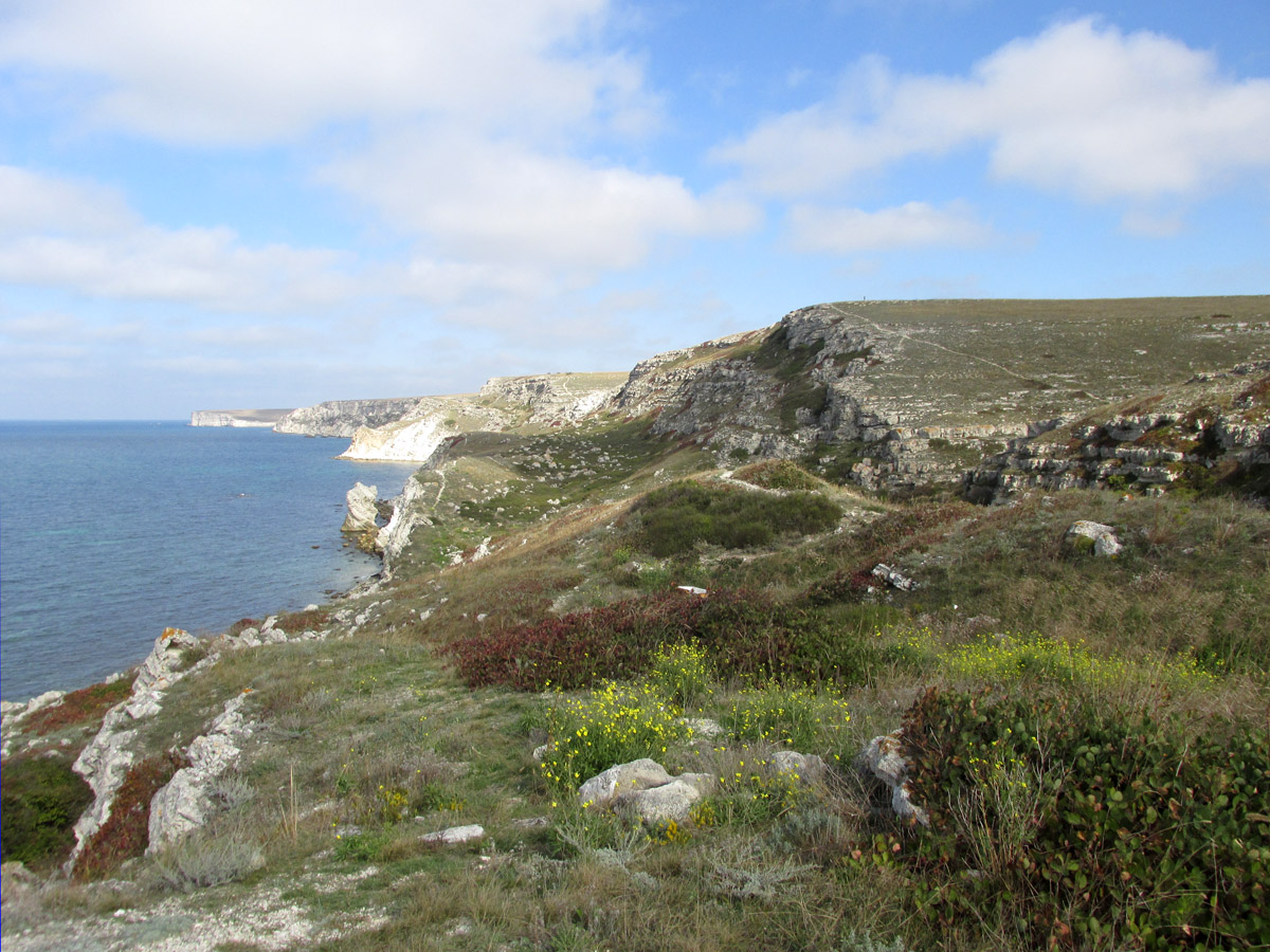 Джангуль, image of landscape/habitat.