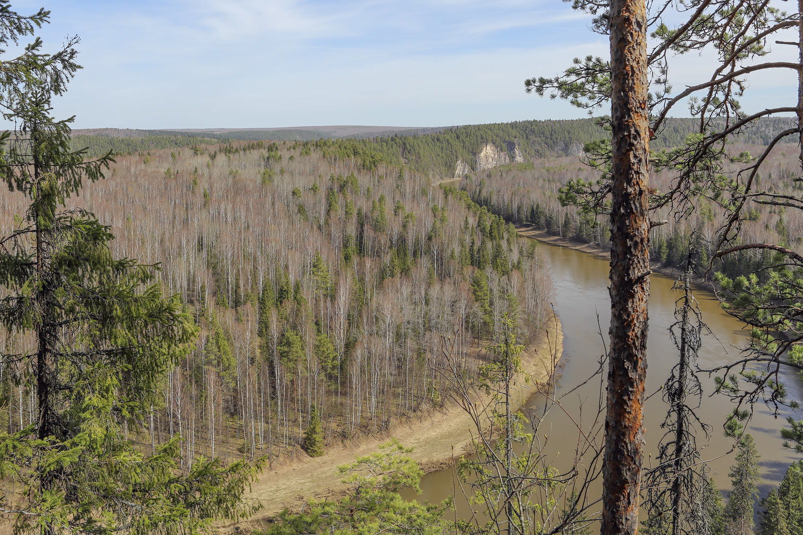 Камень Новиков и его окрестности, image of landscape/habitat.