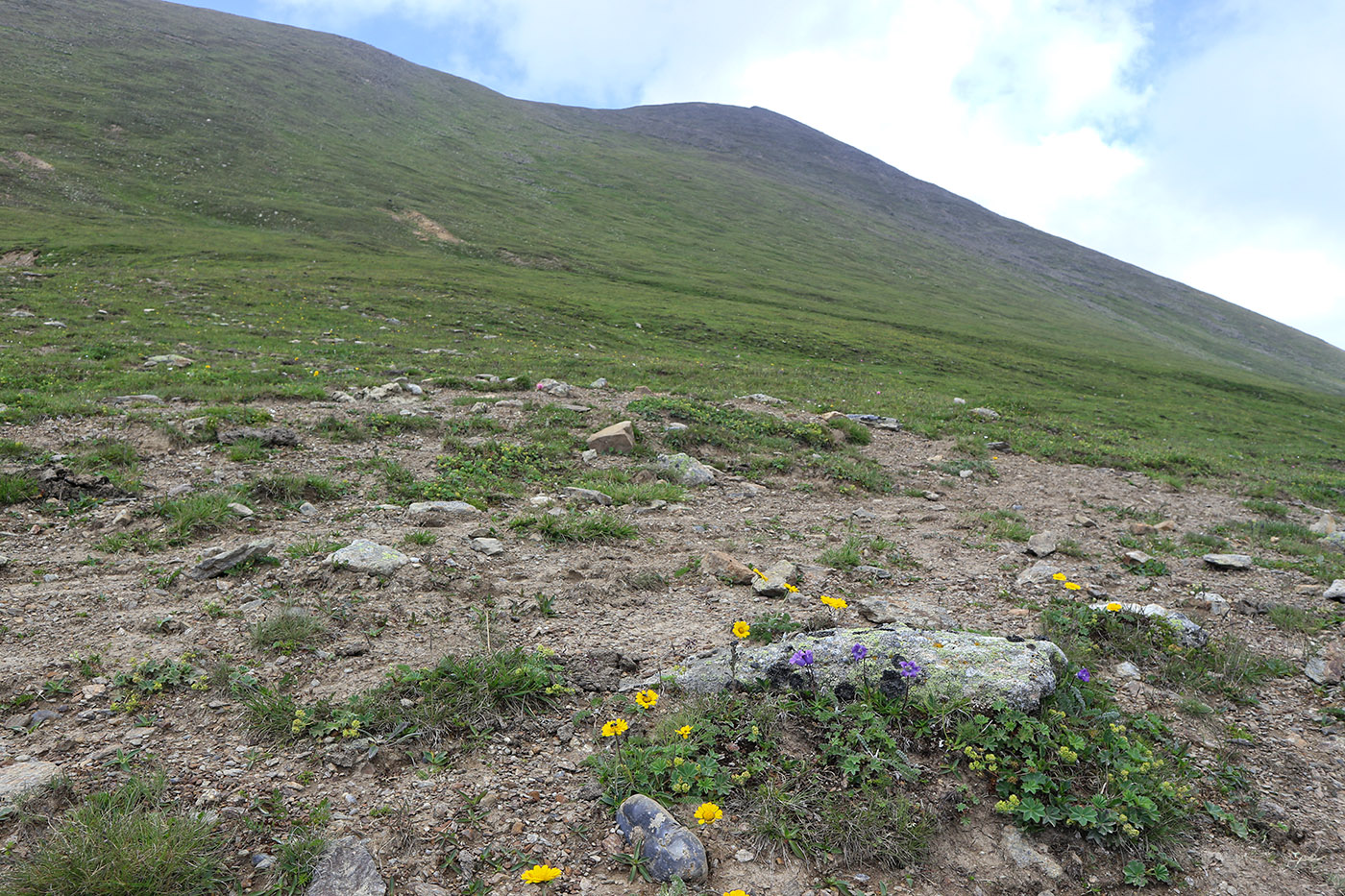 Чегетджара, image of landscape/habitat.