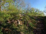 Image of landscape