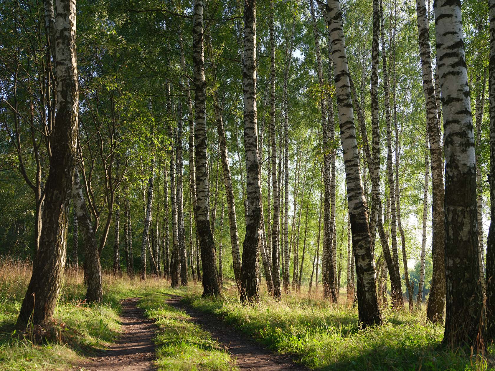 Дубовка, image of landscape/habitat.