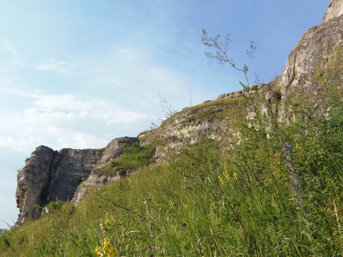 Симферополь, Петровские скалы, image of landscape/habitat.