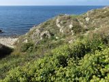 Джангуль, image of landscape/habitat.