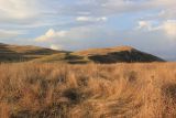 Image of landscape