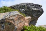Хребет Аибга, изображение ландшафта.